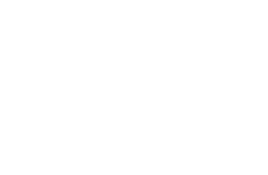 e-surfer